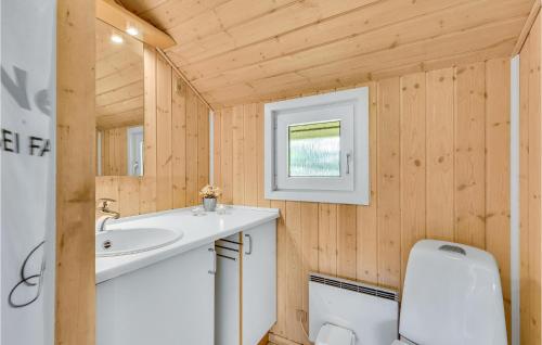 海默特Amazing Home In Tarm With Wifi的一间带水槽和卫生间的小浴室