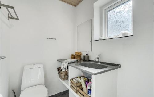 比伦德Nice Home In Billund With Kitchen的一间带水槽和卫生间的浴室