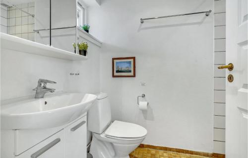 博雷Cozy Apartment In Borre With House Sea View的白色的浴室设有水槽和卫生间。