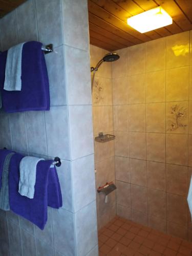 GaisVreni`s Ferienwohnung的带淋浴和蓝色毛巾的浴室
