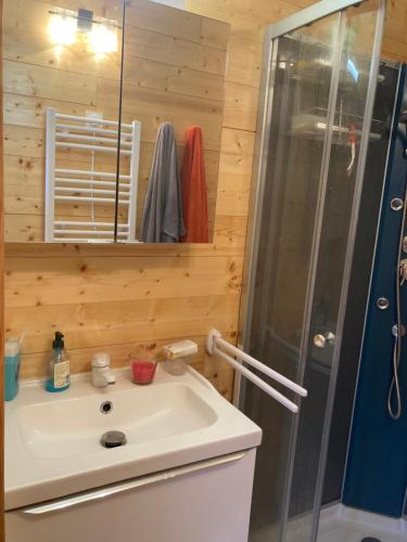 尼姆HOUDARLING Chalet avec Hammam Sauna Jacuzzi Privatif的浴室配有白色水槽和淋浴。