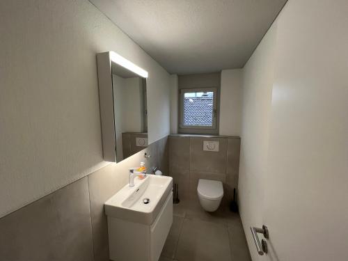 施维茨Apartment No 7 Mythenblick Schwyz 10 Min to Stoos的一间带水槽、卫生间和镜子的浴室