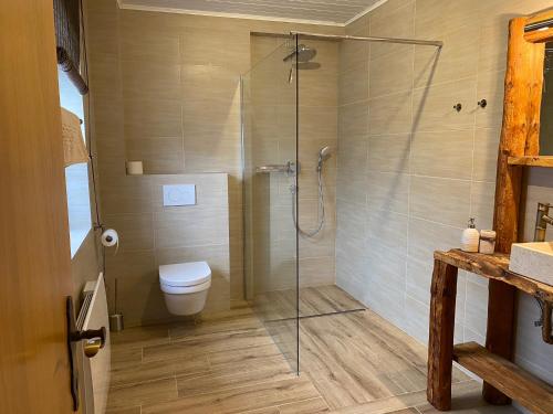赛特朵夫Landhaus Marmorata的带淋浴和卫生间的浴室