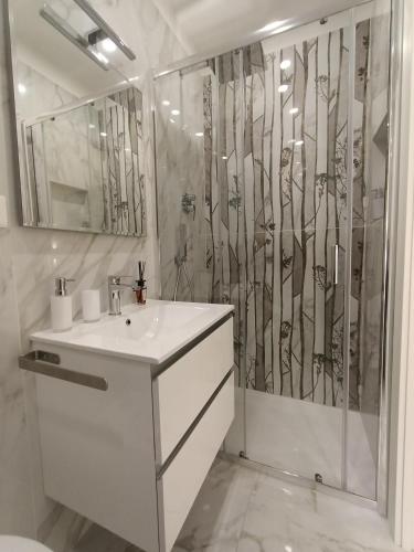 巴列塔Maison Riefolo的带淋浴和盥洗盆的白色浴室