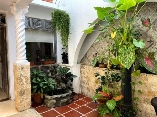 卡塔赫纳Luna Cartagena Airport Hotel的一间种植了大量植物和一根柱子的房间