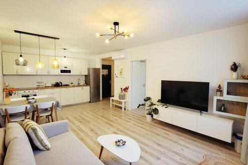 布达佩斯DN Green apartment的带沙发和电视的客厅以及厨房。