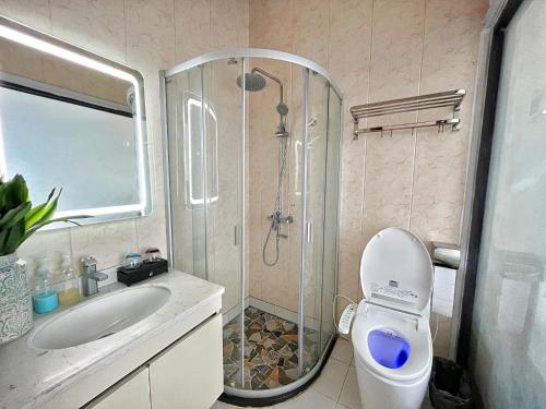 CatagnanSiargao Seasky Resort的带淋浴、卫生间和盥洗盆的浴室
