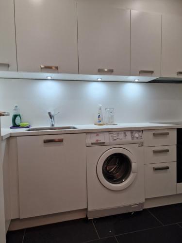 卢塞恩Bastis City Rooms的厨房配有洗衣机和水槽