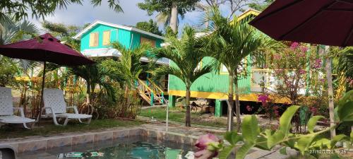 普罗维登西亚Hotel YELLOW HOME Providencia Isla的房屋前有游泳池的房子