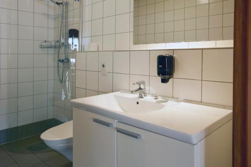 吕克瑟勒First Camp Ansia - Lycksele的一间带水槽和卫生间的浴室
