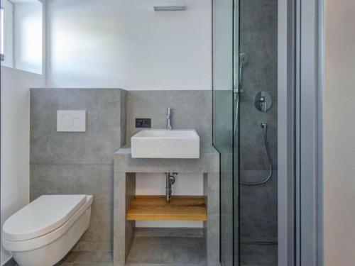 霍赫克尼希山麓丁滕Leni`s Mountain Appartements的一间带水槽、卫生间和淋浴的浴室