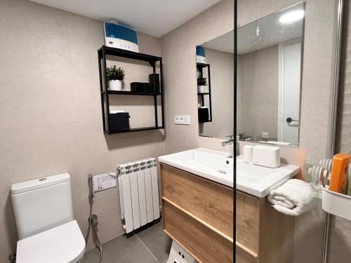 埃斯特里-德阿内乌Fantástico apartamento con vistas en Esterri的一间带水槽、卫生间和镜子的浴室