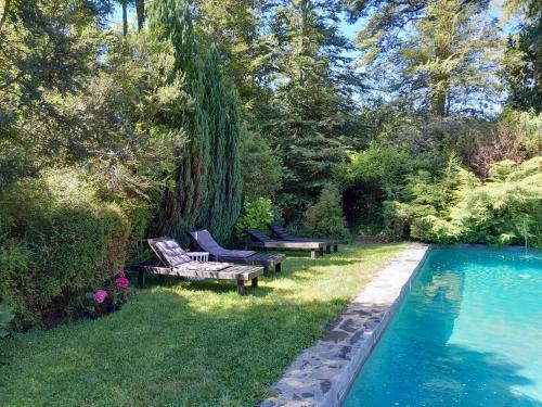 普孔LodgeTenisPuconcl - Refuio369cl的一个带两个长椅和游泳池的庭院