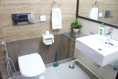 新德里Luxurious modern 2BHK prime location Delhi (13)的一间带水槽、卫生间和镜子的浴室