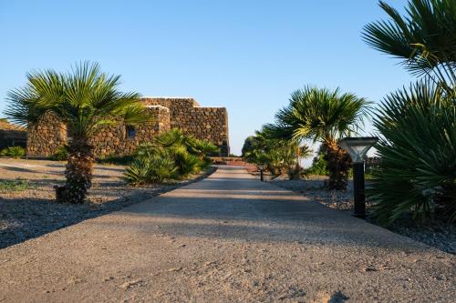 潘泰莱里亚Dammusi Al-Qubba Wellness & Resort的一座建筑前有棕榈树的小径
