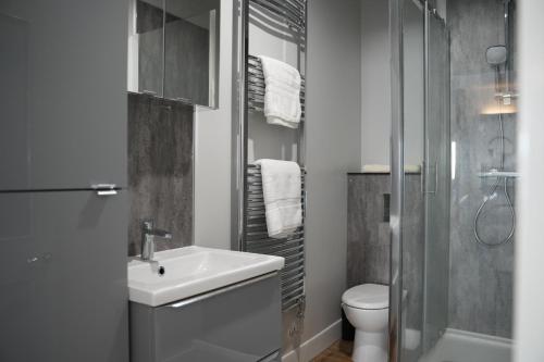 梅瑟蒂德菲尔Gorgeous comfortable Apartment on the High Street的一间带水槽、卫生间和淋浴的浴室