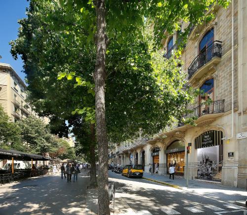 巴塞罗那HCC日格恩特酒店的街道边的树