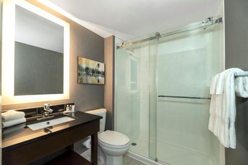 汉密尔顿汉密尔顿/斯托尼克雷克康福特茵酒店的带淋浴、卫生间和盥洗盆的浴室