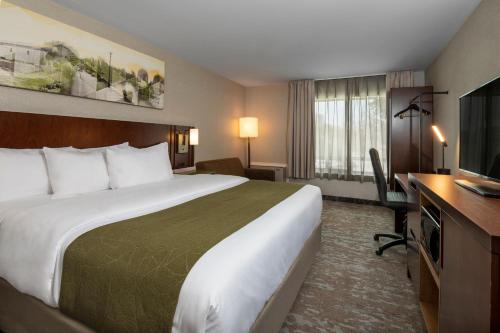 汉密尔顿汉密尔顿/斯托尼克雷克康福特茵酒店的酒店客房设有一张大床和一台电视。