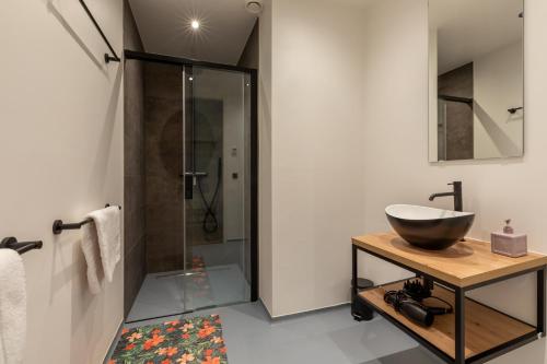 圣安娜兰Appartement Vista Maris, Havenweg 8-1, St. Annaland的一间带水槽和淋浴的浴室