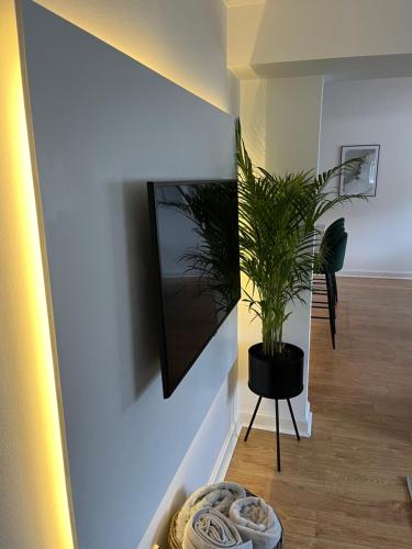 爱丁堡Lux 2 Bedroom Ground Floor Apartment的走廊上的一个站台上的一个黑锅里的植物