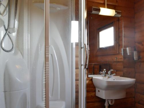 廷特恩Cider Mill Lodge - Hw7420的一间带水槽和淋浴的浴室