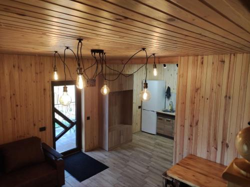 斯维季亚济Садиба ЯНА的木墙客房和带灯具的厨房