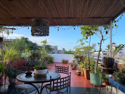 圣多明各Centrico ciudad colonial的天井配有桌椅和盆栽植物