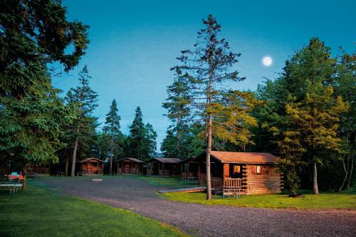 特伦顿纳罗斯野营度假6号小屋假日公园的树林中的小屋,天空中有月亮