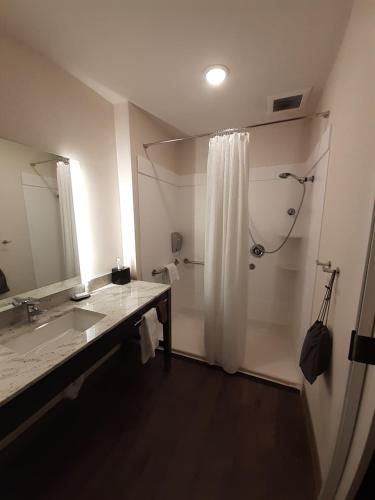 博伊西Simple Suites Boise Airport的浴室配有水槽和带浴帘的淋浴