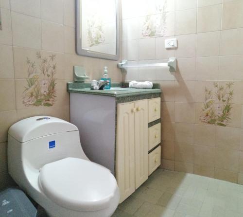 波哥大Como en casa的一间带卫生间、水槽和镜子的浴室
