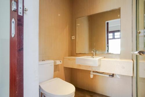 沙努尔阿卡萨特兰西特酒店的一间带卫生间、水槽和镜子的浴室