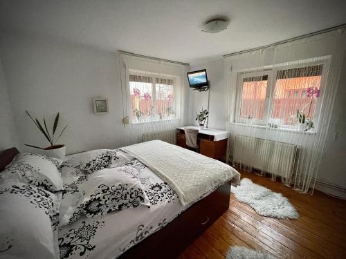 克拉约瓦Ada-Ini House的卧室配有床、电视和窗户。