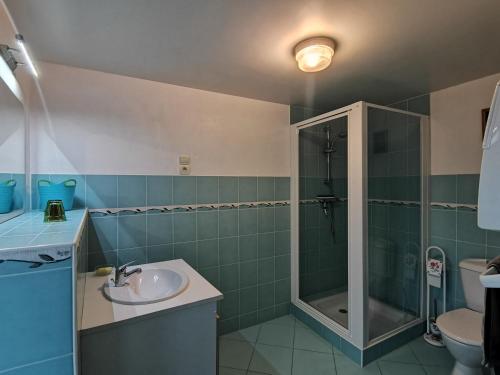 Braye-sous-FayeAux Acacias的一间带水槽和淋浴的浴室