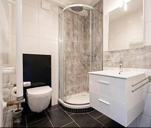 阿尔泽特河畔埃施Esch/Alzette city apartment的带淋浴、卫生间和盥洗盆的浴室