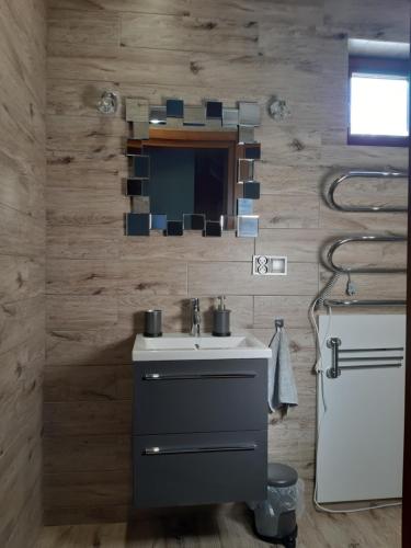 奥帕图夫Siedlisko na Winnicy的一间带水槽和镜子的浴室