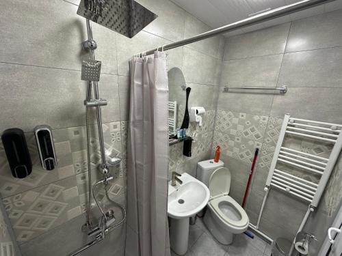 NinotsmindaHotel Elit的带淋浴、卫生间和盥洗盆的浴室