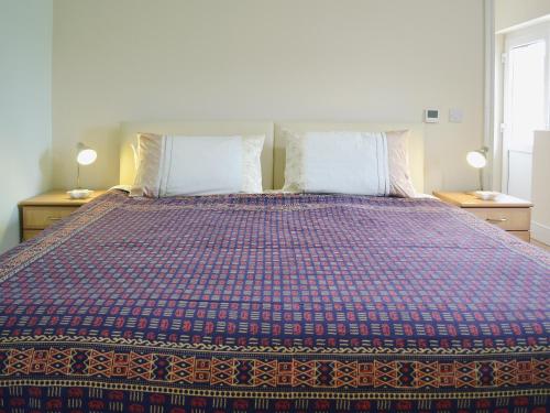TrostreGlanmwrg Barn的一间卧室配有一张带蓝色和红色棉被的床