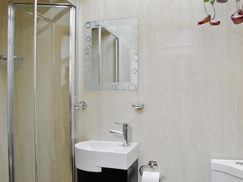 HendyLily Vale Cottage的浴室配有盥洗盆和带镜子的淋浴