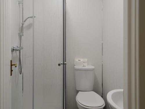 BlencogoBlaithwaite Stables的一间带卫生间和水槽的浴室