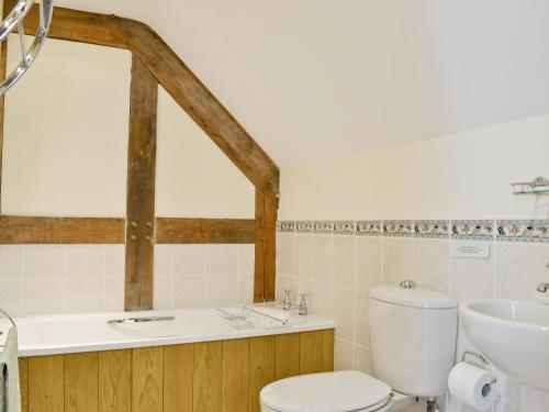 Llanrhaeadr-ym-Mochnant泰瑞德乡村别墅的浴室配有卫生间、盥洗盆和浴缸。