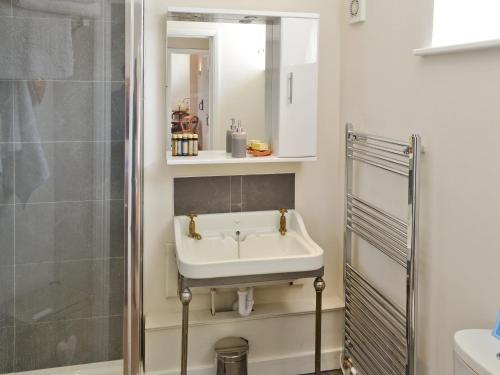 埃尔森汉姆伊维玫瑰度假屋的一间带水槽和淋浴的浴室