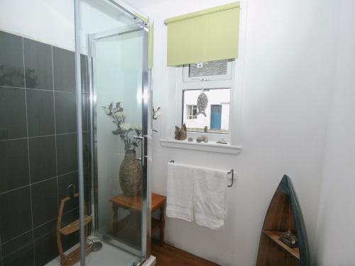 普柳Mackenzie Cottage的带淋浴和卫生间的浴室以及窗户。