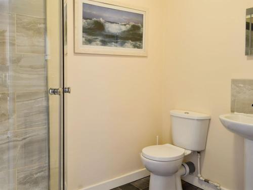 GoosehamDoves Den的浴室配有卫生间、盥洗盆和淋浴。