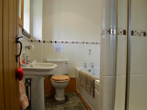 兰戈伦Bwthyn Clyd的浴室配有盥洗盆、卫生间和浴缸。