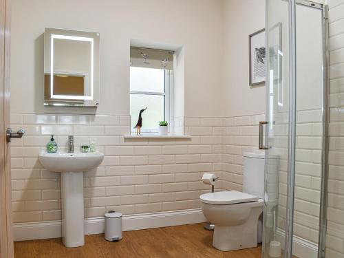 Buckland BrewerNuthatch的一间带水槽和卫生间的浴室以及窗户。