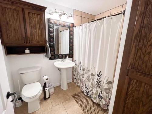 廷吉尔Relais Des Nomades的浴室设有卫生间、水槽和淋浴帘