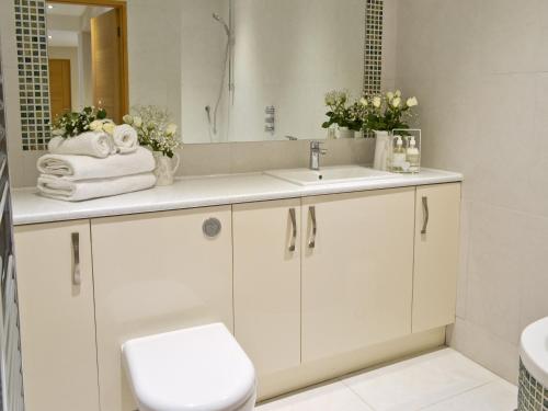 Cheriton Bishop圣丹斯度假屋的一间带水槽、卫生间和镜子的浴室