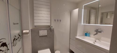瓦尔韦克BenB-Hollandsingel的一间带卫生间、水槽和镜子的浴室