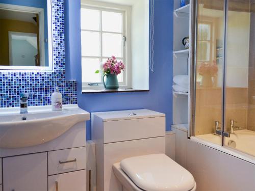 赫斯特蒙苏考比奇农场度假屋的一间带水槽、卫生间和镜子的浴室